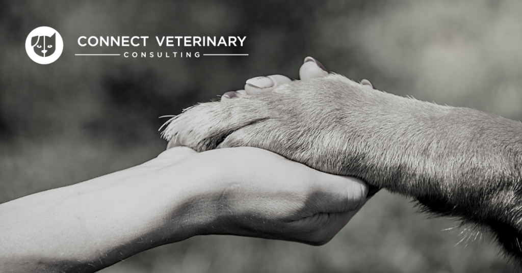 Veterinary marketing artwork for Keep Your Top 20% as Your Raving Fans